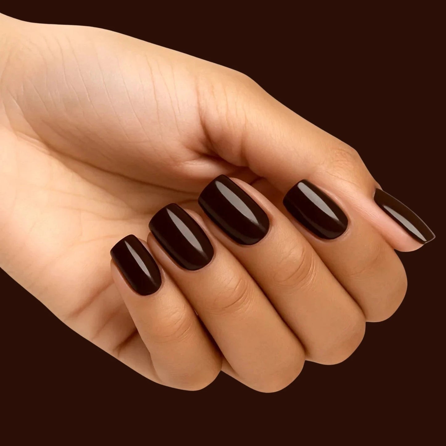 LongWear - Ganache - PRONAILS